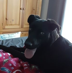 Meet your Posher, Donnie